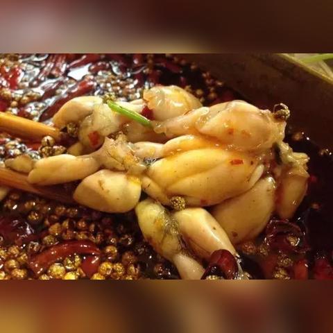 成都市美蛙鱼头火锅地址的长尾关键词有哪些