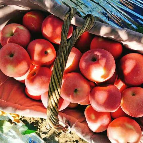 石家庄市粮食库存的长尾关键词有什么