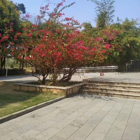 南宁花卉市场的相关长尾关键词有哪些