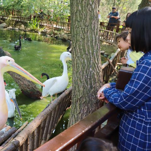 济南市旅游圣地在哪里啊