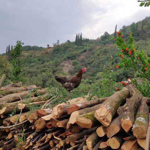 昆明市五一假期去哪里玩