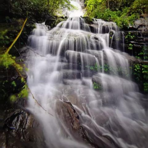 长沙市内哪里有溪流野采地点？