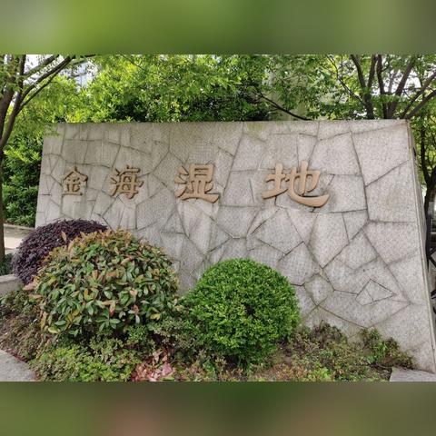 上海适合散步路线有哪些