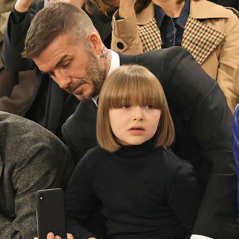 哈尔滨贝美人食品相关长尾关键词有哪些