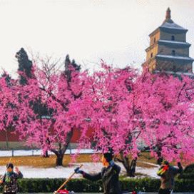 西安曲江文化旅游集团是个什么性质的公司？