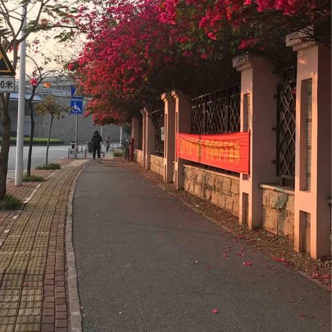 南宁青秀山怎么去？