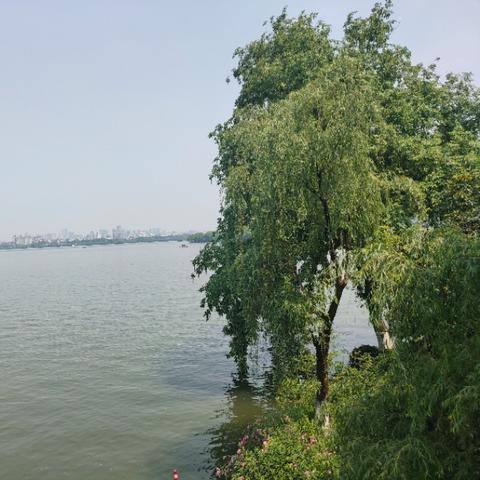 [苏州一日自驾]相关长尾关键词有哪些