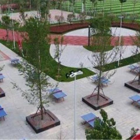 潍坊市中学生考体育a证多少分