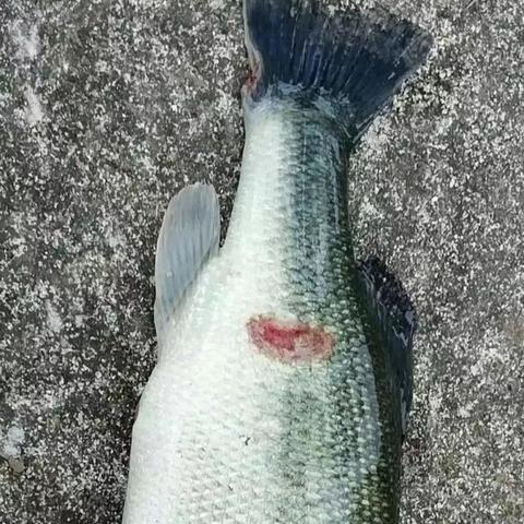 【戊二醛,戊二醛消毒液使用方法】