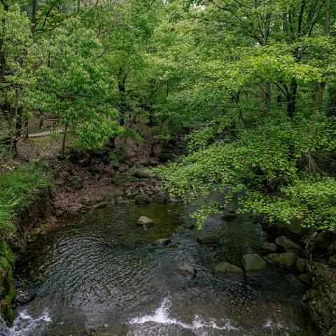 福建清流青山商行的相关长尾关键词有哪些