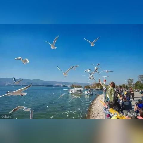 昆明市亿佳店的长尾关键词有什么