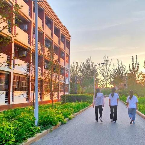 【天津科技大学占地】长尾关键词有什么