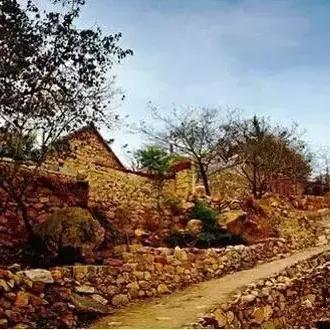 龙虾大闸蟹临沂市哪里有