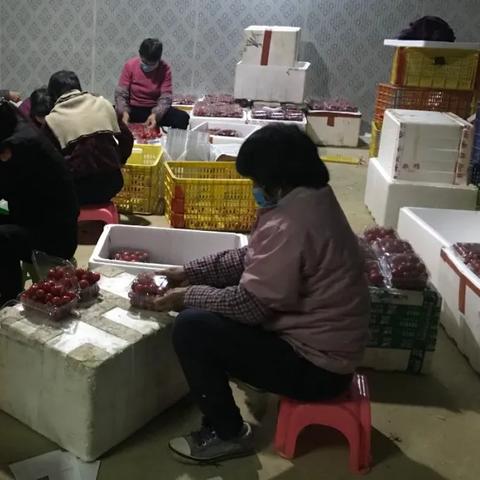 武汉市姓姬的老板叫什么