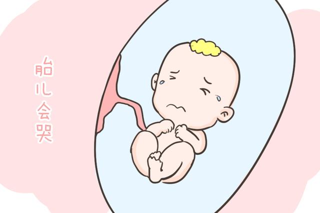 宝宝在妈妈肚子里就会哭了吗