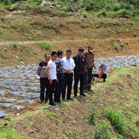 沈阳市新民法院怎么样