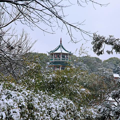 无锡市哪里有宝塔雕刻店