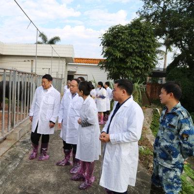 南宁公牛的相关长尾关键词有哪些