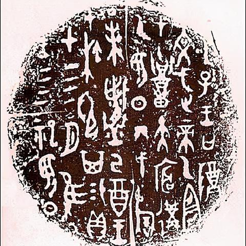 福建哪个姓氏多