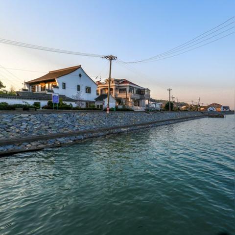 宁波市掌起镇经济怎么样