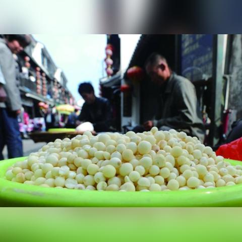 去苏州市旅游什么季节好