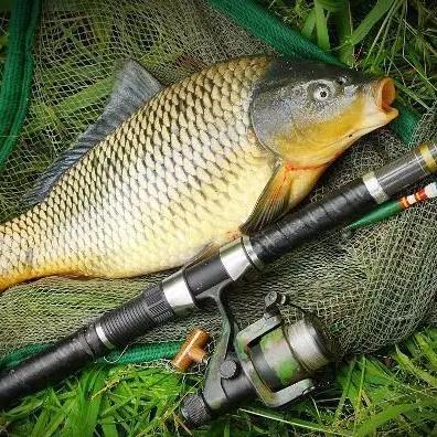 老祖宗的八字算命法，看透你的命有多硬