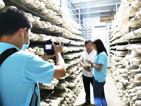 能人回乡先行者、龙潭寺村支书姚峰：返乡创业带民致富村建扶贫两手抓