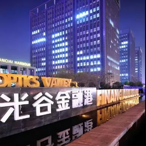 武汉光谷金融港是属于洪山区还是武昌区还是江夏区啊？