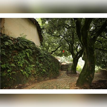 福建税务名片推广的相关长尾关键词有哪些