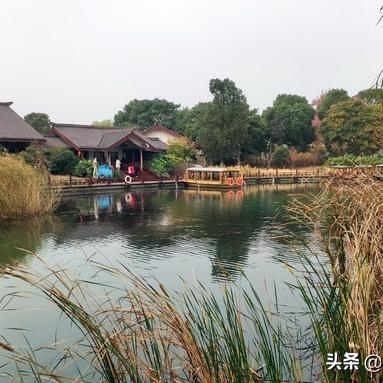 苏州市区如何去常熟牡丹园