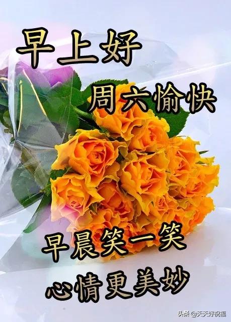 宝宝睡前小故事之露珠与绿叶