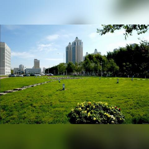 哈尔滨电力学院官网相关长尾关键词有哪些