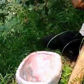 炎陵怎么到上海最快多久