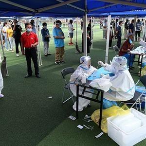 【河北新增7例无症状涉石家庄等地】 ›  河北确诊病例