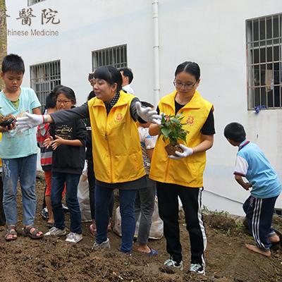 南宁有几个大医院的相关长尾关键词有哪些
