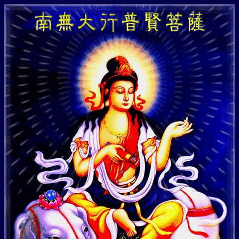 深圳市福中路属哪个镇管
