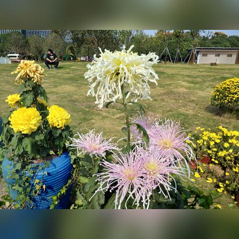 武汉市沌口什么区