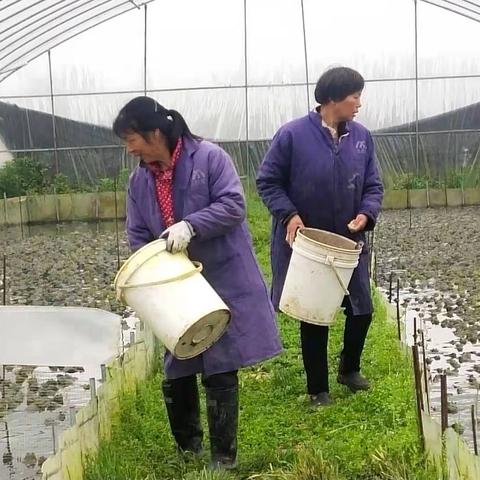 厦门市螺蛳店哪里好玩点