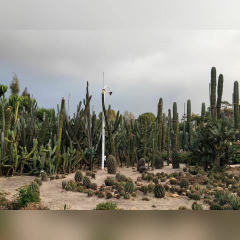 厦门虎园路16号的相关长尾关键词有哪些