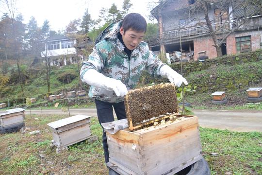 四川广元朝天区大山深处90后夫妻酿出“甜蜜事业”