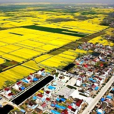 长沙市望江区有什么景点