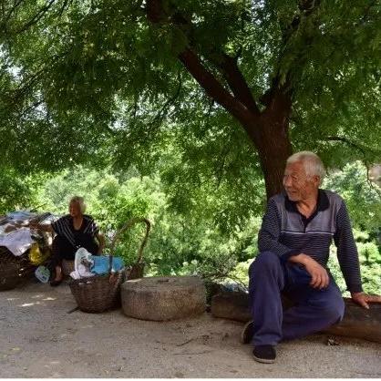 保定市奶粉销售的长尾关键词有哪些