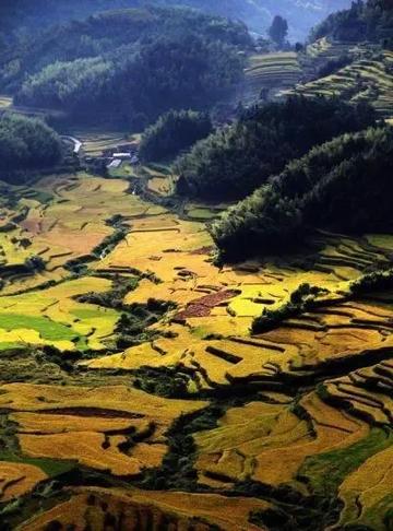 福建哪个梯田好