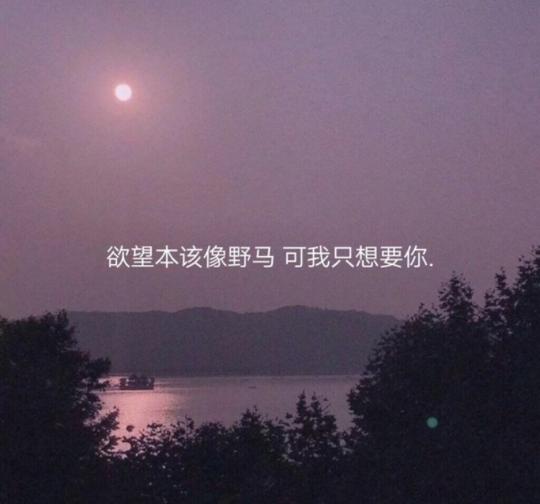 压抑且温柔的丧系文案！欲望本该像野马，可我只想要你！