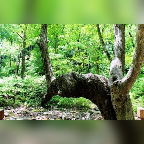 沈阳市第36中在哪个区