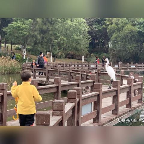 在厦门哪个区适合长期居住？