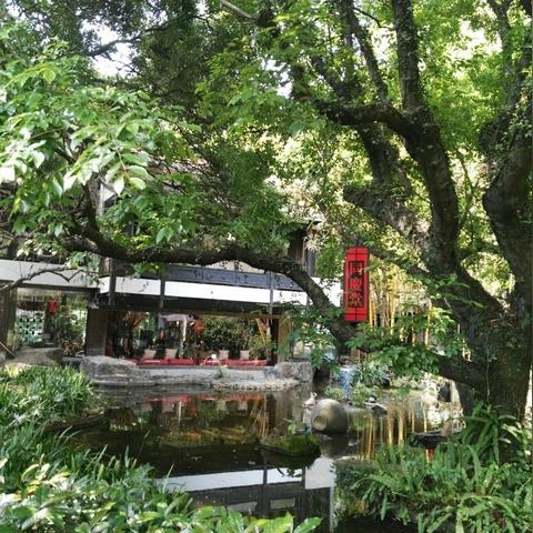 广州市有什么园林公司吗