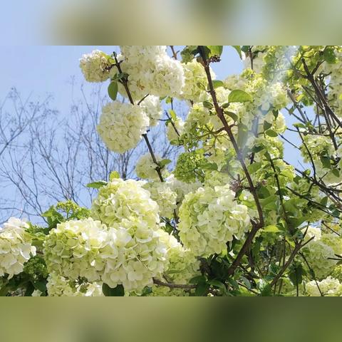 武汉市夜景什么时间亮起