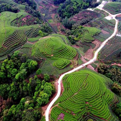 成都市23号地铁线的长尾关键词有哪些
