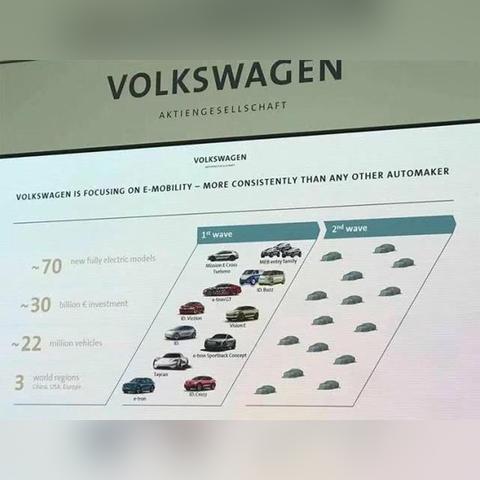 生肖猪运势20258月(2028属猪的运势)